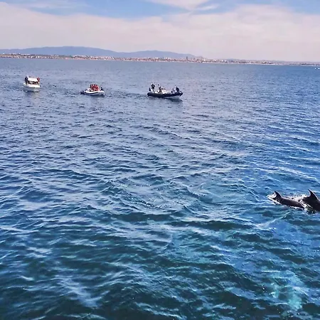 Villa La Romana By Algarve Vacation